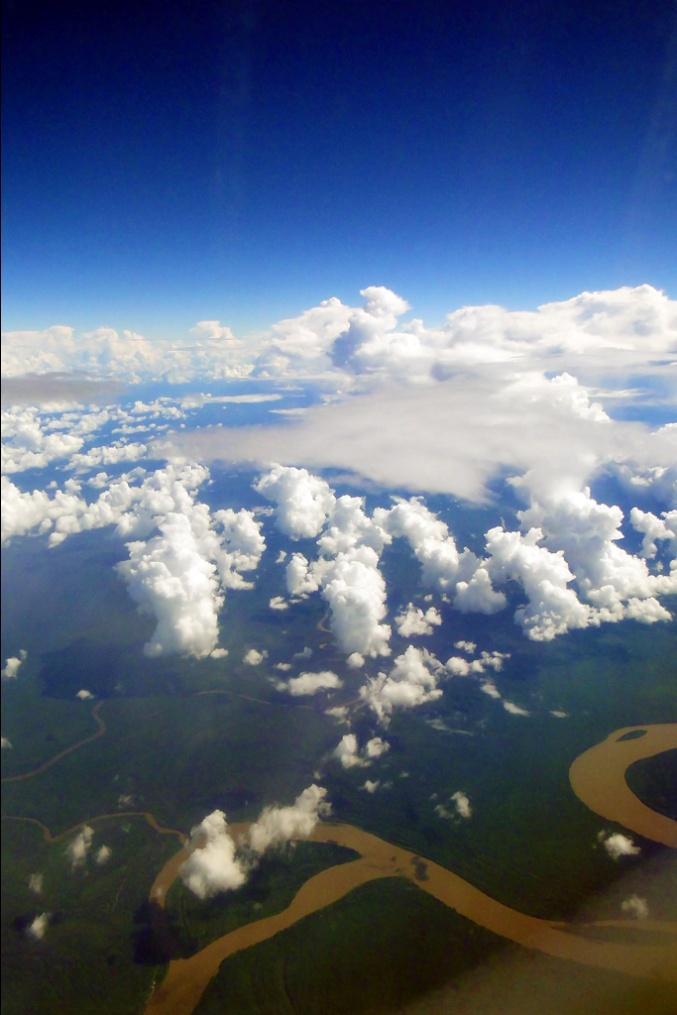 In the case of the Amazon rainforest, 50% to 75% of the rainfall originates from its own forest evapotranspiration 1-4.