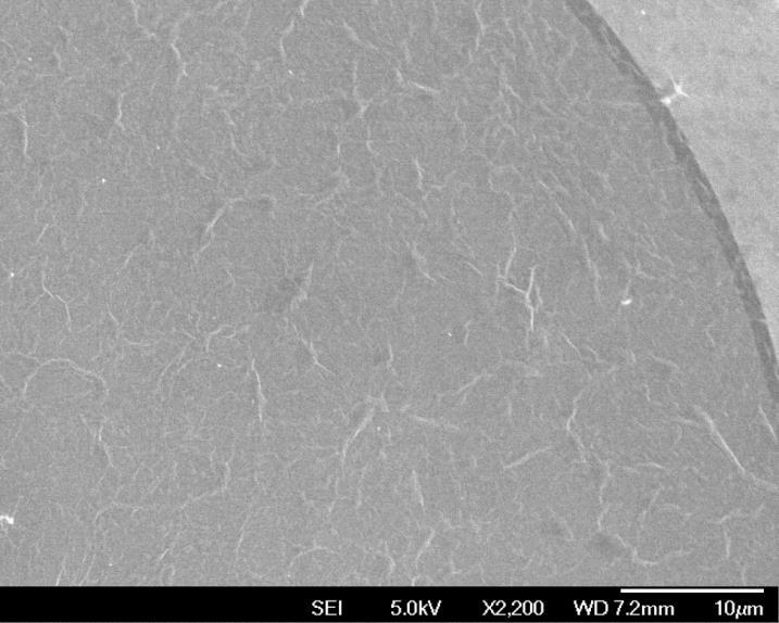 Supplementary Figure S16 Enlarged SEM image of MoS 2 thin film-coated optical fiber pigtail in Fig 5d.