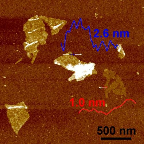 Supplementary Figure S6 AFM image of sub-micron