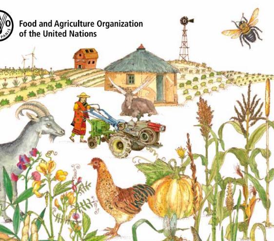 Scaling-up Adaptation in Agricultural Sectors (SAAS) Agroecology and Ecosystem based Adaptation (EbA) Rémi Cluset Agricultural officer agroecology