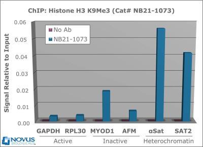 20.1 Updated 3/12/2018 Chromatin Immunoprecipitation: Histone H3 [Trimethyl Lys9] Antibody [NB21-1073] - 2 ug of NB21-1073 was