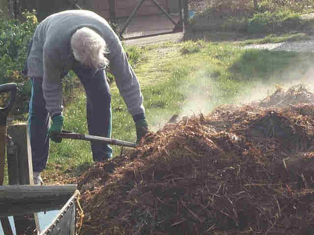 Organic examples include animal manure, green manure (plant material) or compost.