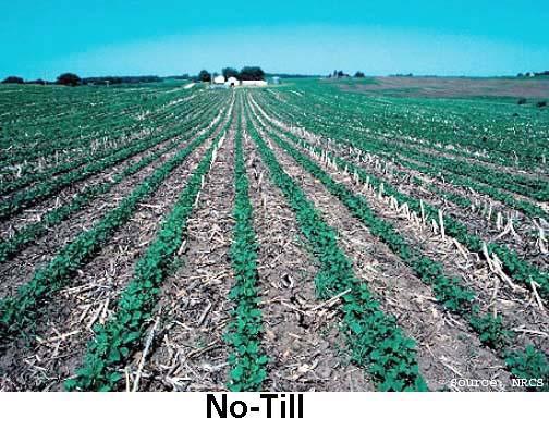 c. In conservation tillage, the ground is disturbed as little as possible during planting.