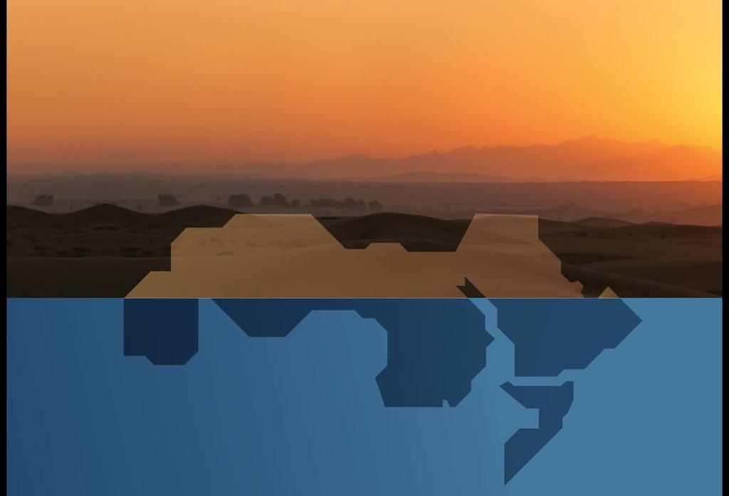 Water and Food Security in the Arab Region in a Climate Change Context Reem