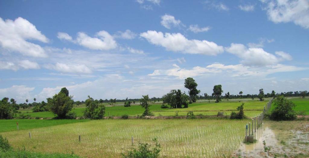 Agricultural productivity and food security in the lower Mekong Basin: impacts