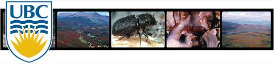 Synergies, feedbacks and tipping points: mountain pine beetle s rapid range expansion threatens invasion of North American