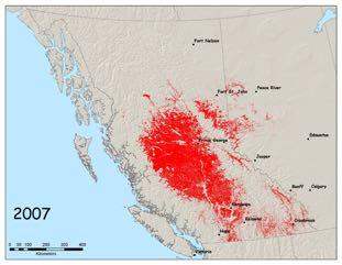 The tipping point: breach of the Rocky Mountains Rocky Mountains Long-distance dispersal events in 2002, 2006 Beetles travelled 300 400km