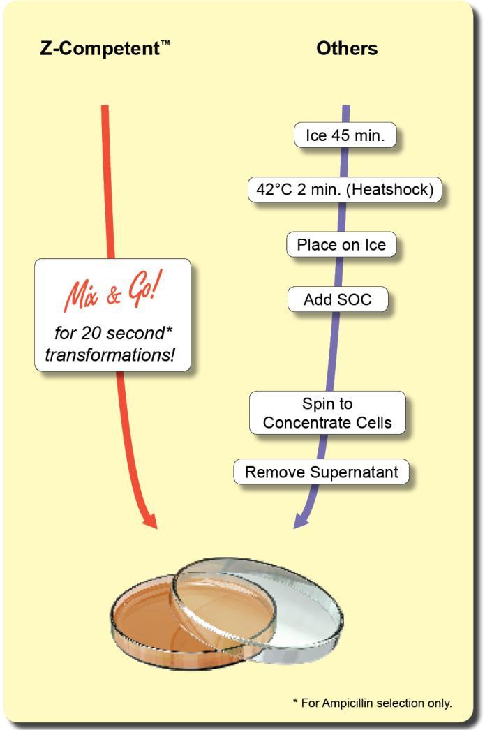 Page 10 Premade Z-Competent E. coli for 20 Second Transformations (>10 8 transformants/µg DNA) NO Heat Shock! NO Lengthy Incubations! NO Outgrowth Procedures! NO Wait!! Premade Z-Competent E. coli Cells Product Cat.