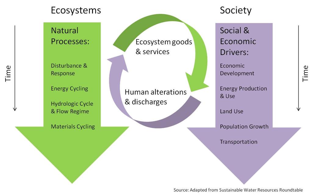 Ecosystem Processes and Societal Drivers Environmental, social and economic systems produce value through flows of goods and services that meet human and ecosystem needs over time.