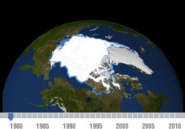 Huge decline in the Arctic