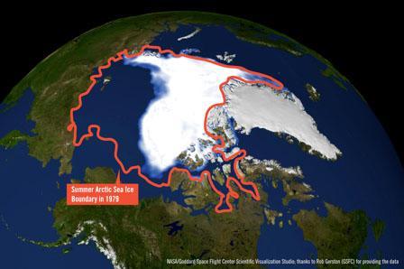 Huge decline in the Arctic