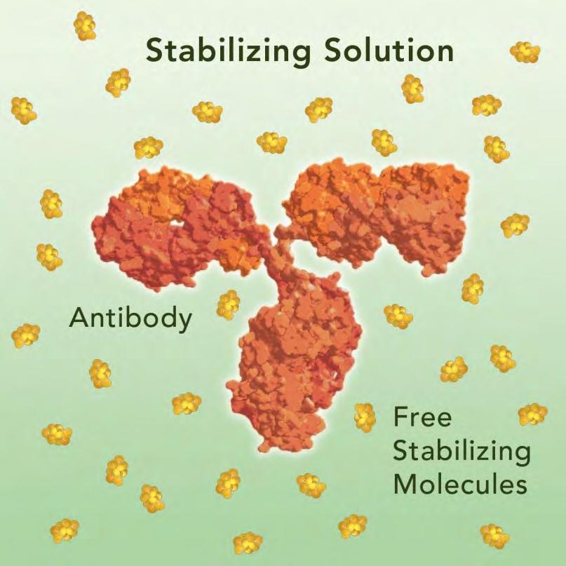 Principle of Stabilizing and Protecting Technologies I Stabilizing and Protecting Solutions (SPS) are specific compositions of 5-8 excipients. SPS are applied as aqueous solution.