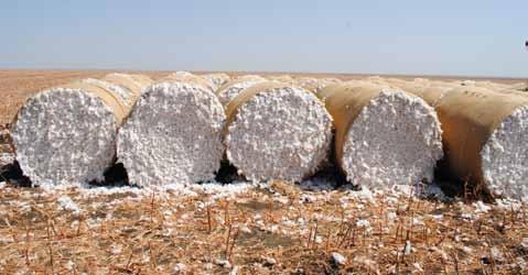 3 Burkina Faso million and hectares Sudan increasing 2012. their Bt cotton hectarage by 51% and 207% respectively.