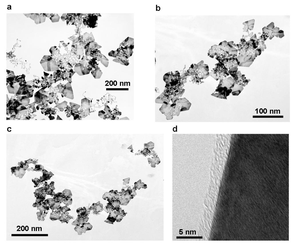 Figure S1 a, b and c, TEM of gold nanoleaves prepared at ph 7.