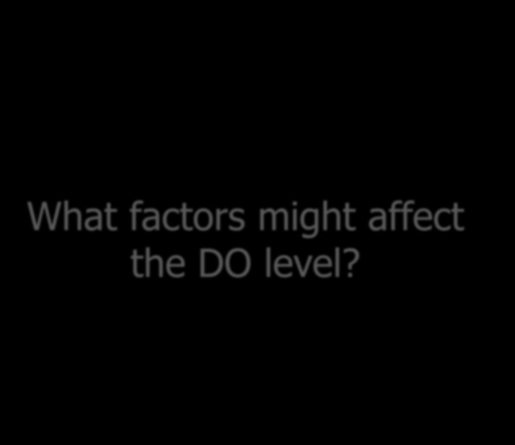 What factors might affect the DO level?