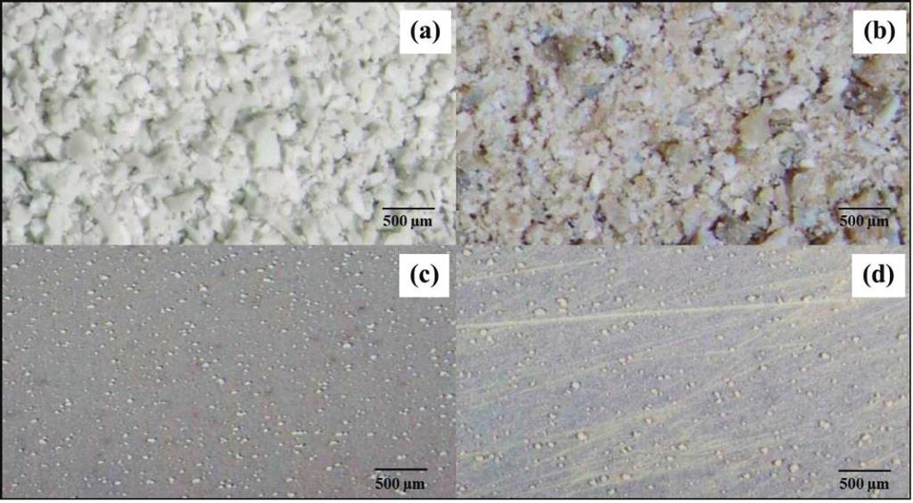 Suntorn Sangsong et al. / Energy Procedia 79 ( 2015 ) 137 142 139 Fig. 1. SM micrographs of fresh catalysts: (a) 10NAM powder, (b) 10NM powder, (c) 10NAM-coated plate (10NAMC) and (d) 10NM-coated plate (10NMC) 3.