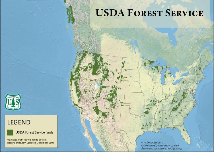 US Forest