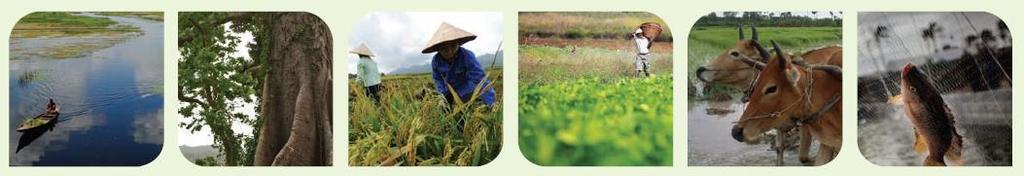 Implement Global Strategy to Improve Agricultural