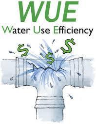 Increased water use efficiency. Fewer weeds.