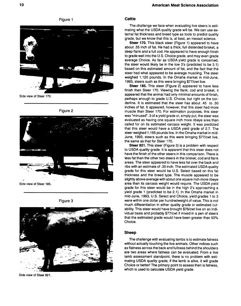 10 American Meat Science Association Side - -- view. -.. nf -. Steer -_-. 170.. -. Side view of Steer 185. Figure 1 Figure 2 Figure 3 I.
