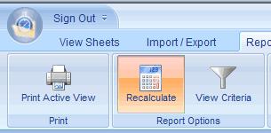 Step 3: Calculate Report Now that you ve defined the columns and view