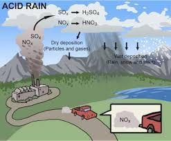 Acid rain harms aquatic life, damages the leaves of trees, and causes substances toxic to trees
