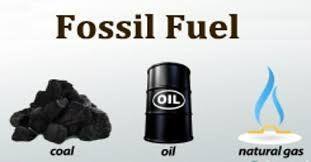 Running out of Gas! What are some fossil fuels? Fossil fuels are energy resources made from carbon-rich plant and animal remains.
