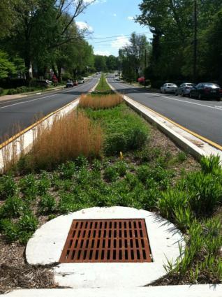 Green streets opportunities Plants will grow More than a filter: Stormwater volume Aesthetics Habitat Traffic calming