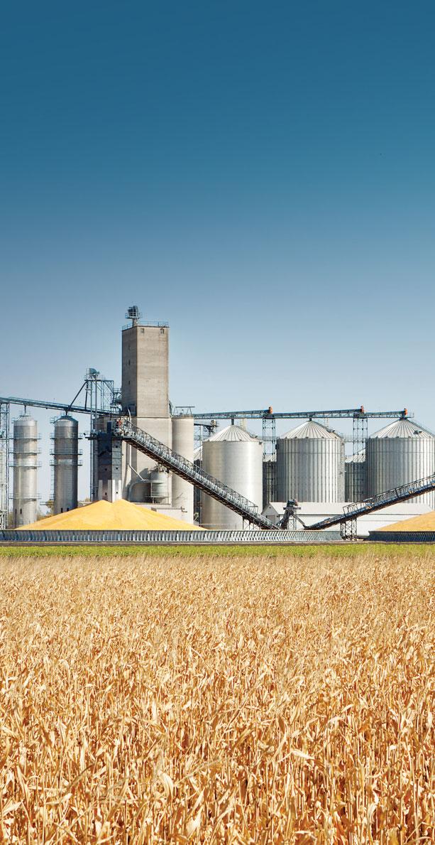 We believe in ethanol Today, more than 95 percent of America s motor fuel mix contains about 10 percent ethanol, and higher blends are increasingly available.