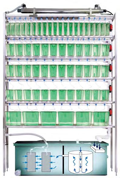 ZEBRAFISH SYSTEMS MINI SYSTEM FOR TEACHING The erack Education Rack is a convenient and compact aquatic system for the next generation of scientists, small research projects, quarantine, or isolation.