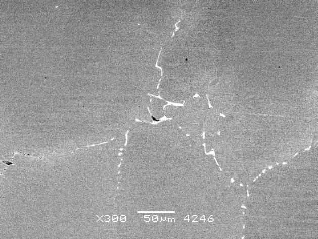 Light metallography, etched (left),
