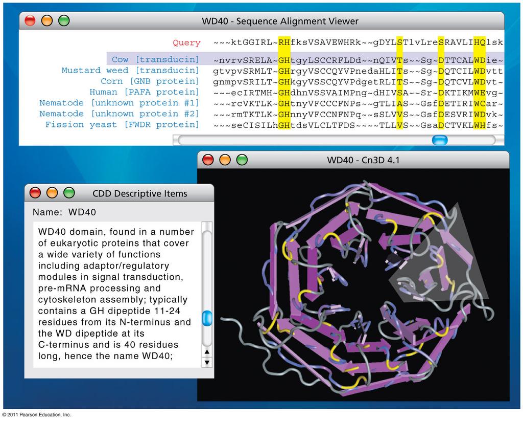 Bioinformatics Many new resources since completion of Genome Project FIG. 21.