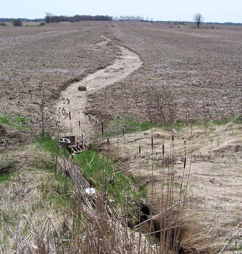 Deposition of the eroded soil occurs at the bottom of the slope (Figure 3) or in low areas.