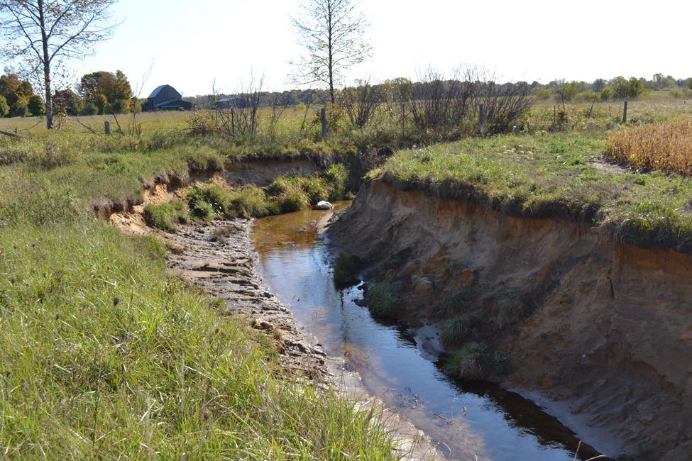 Figure 6. Bank erosion involves the undercutting and scouring of natural stream and drainage channel banks.