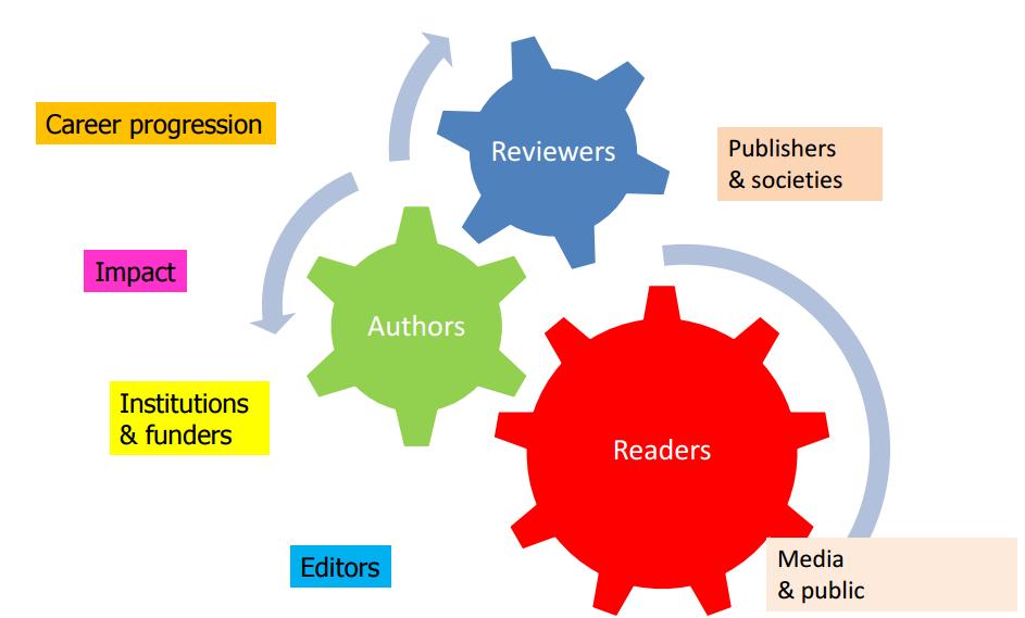 What journals provide: peer