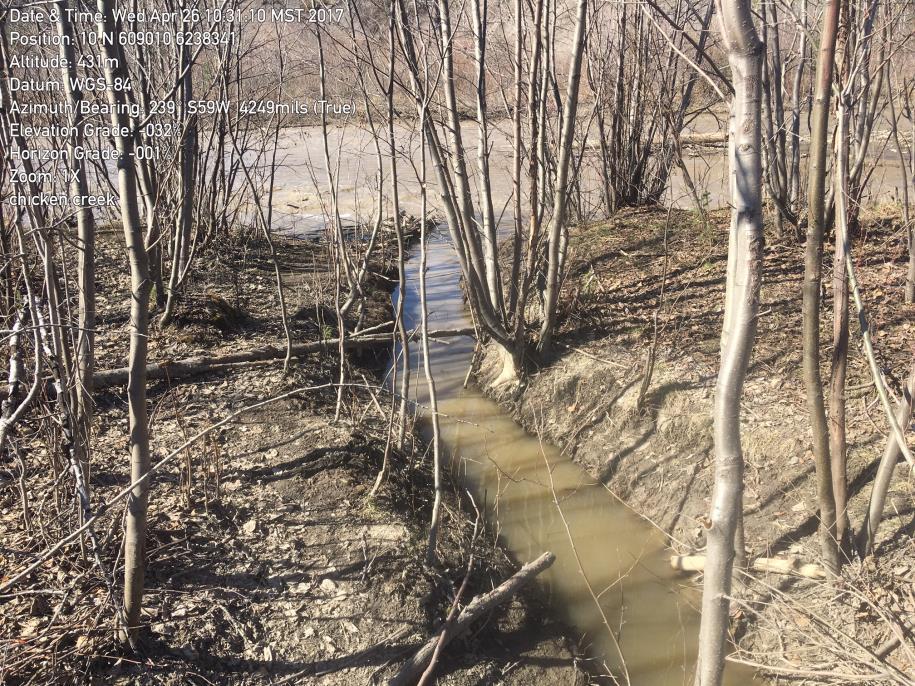 spring, ravine, gulch, wetland or glacier, whether or not usually containing water, including ice, but does not include an aquifer; Note also that the mulching of riparian vegetation and operation of