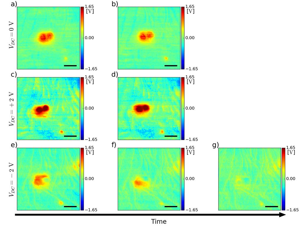 ImEFM time sequence Figure S2: Consecutive ImEFM scans of the Al2 O3 nanoparticles embedded in LDPE.