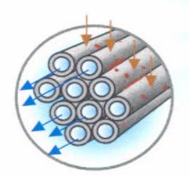filtration to suppress membrane