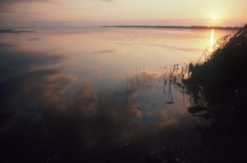 Tar-Pamlico The Environment: The Tar-Pamlico Basin covers 5,440 square miles Nine threatened or