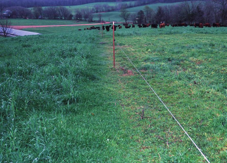 Although pastures produce much less runoff pollution than do urban and cropland areas, BMPs are still needed in overgrazed and heavily fertilized areas.