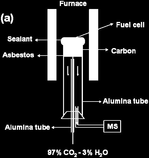 external fluidized-bed coupled to a fuel cell (b).