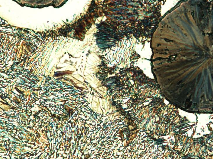m m microstructure: nodular graphite, upper and lower bainite, ferrite, pearlite, ledeburitic carbides Fig. 4 (a,.