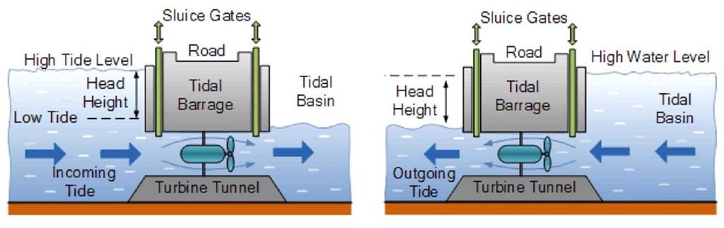 Tidal Potential Energy Systems Potential energy systems often utilize barrages that capture the tidal energy by forcing the water that flows into and out of a basin to pass through a turbine