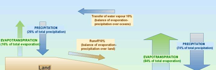 The Water cycle Atmosphere Evapotranspiration Interception Infiltration Soil Water