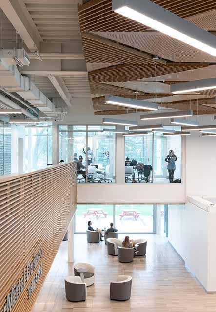 The themes of connectivity, interaction and collaboration run throughout the design of the Joyce Centre s social learning environment.
