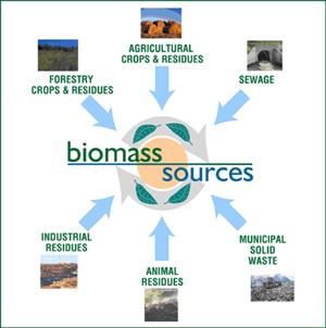 biomass sources are burned, generacng heat and electricity Biofuels biomass sources are converted into