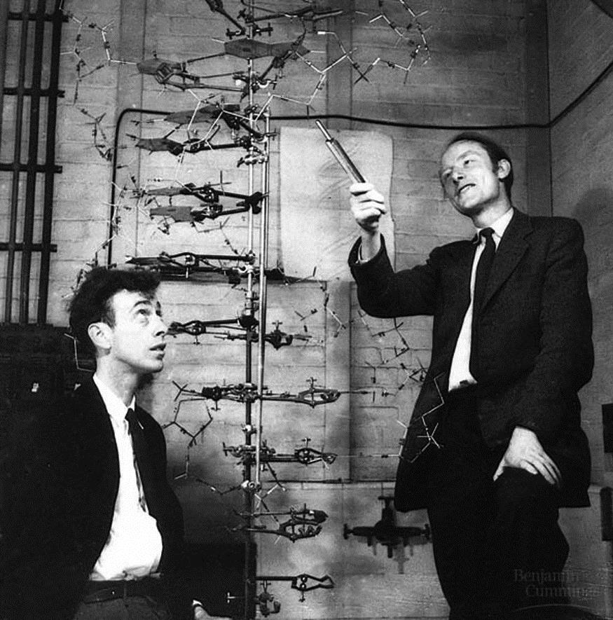 2. Watson & Crick a.