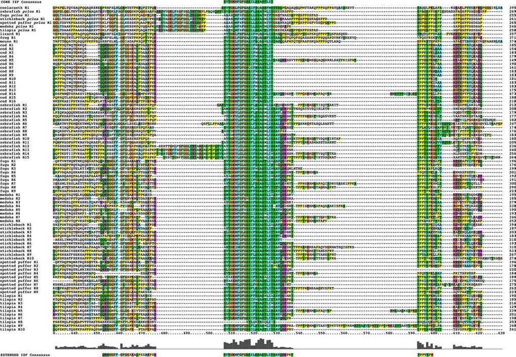 Figure S11 Sequence alignments of the IZF domain of piccolo genes. An alignment of central region of exons encoding the Inter Zinc Finger domain (IZF).