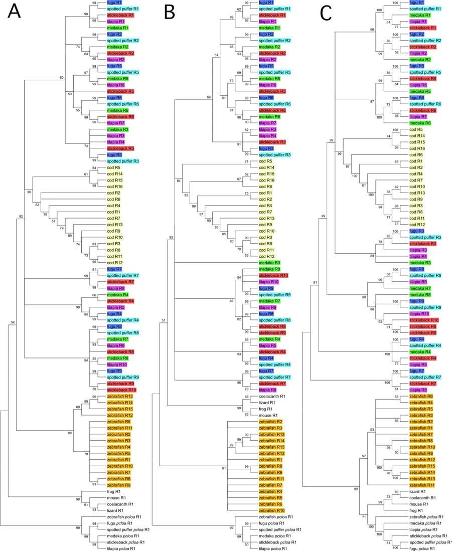 Figure S15 Comparison of evolutionary trees of repeated zinc finger domains obtained using distinct alignment methods and gap penalties.