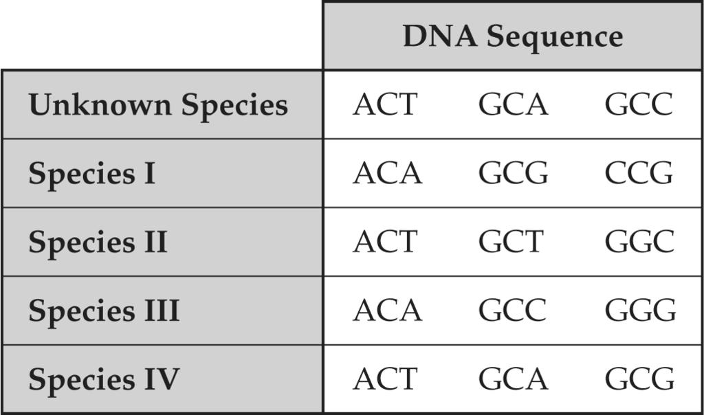 RN Protein N. N RN Protein ccording to the data, which of these pairs of organisms are most closely related?. 1 and 2. 2 and 3. 2 and 4. 3 and 4 35.